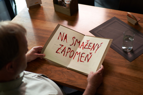 /media/20212/servier_kv_restaurace