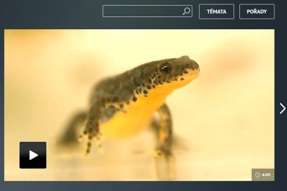 /media/5738/aktualne-tv