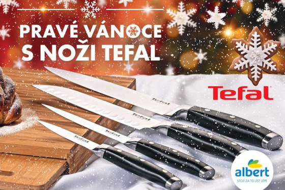 /media/14630/albert_2020_tefal