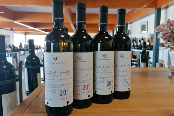 /media/16666/michlovský_globus