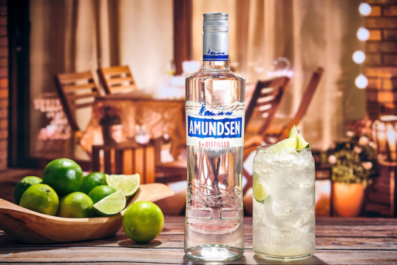 /media/21339/amundsen_letniedice