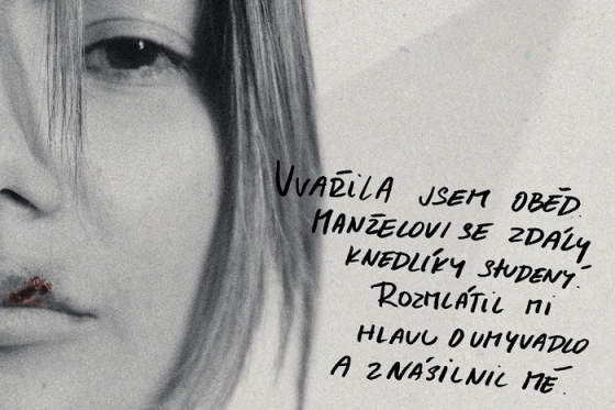 /media/21496/pod-svi-cnem_slider