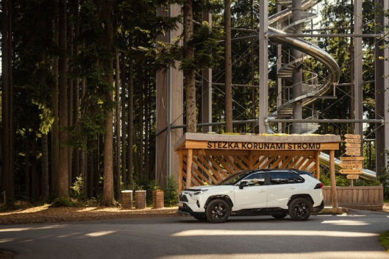 /media/12844/toyota_pocesku