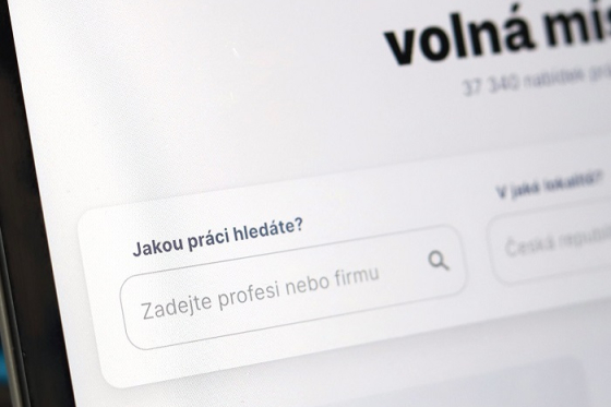 /media/22485/volnamista-cz_ilustracni-foto-1