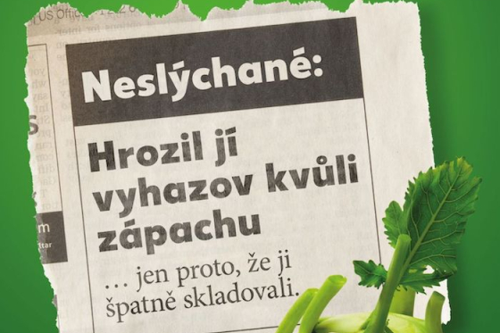 /media/vuwclbz1/kaufland_nekrmkos_kedlubna_vyska