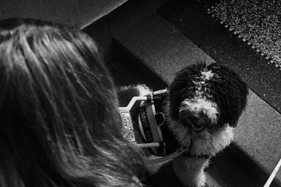 /media/1tdgudyv/helppes_2