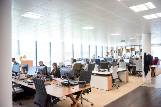 /media/nlzl31ou/kancelra_office-lide_tym_unsplash