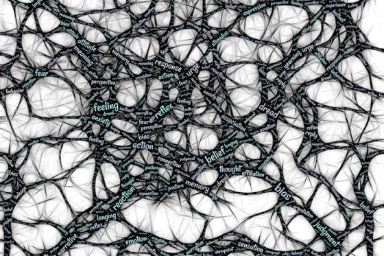 /media/10550/mindset_pixabay