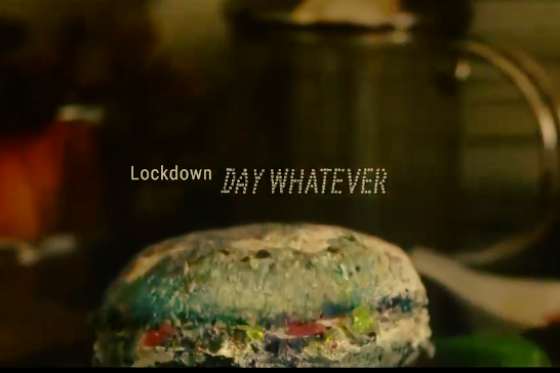 /media/16049/lockdowndaywhatever