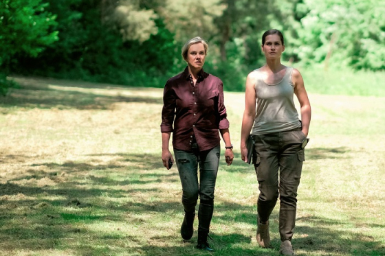 /media/19729/odznak-vysocina