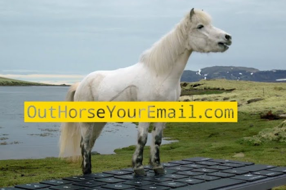 /media/21092/outhorseyouremail