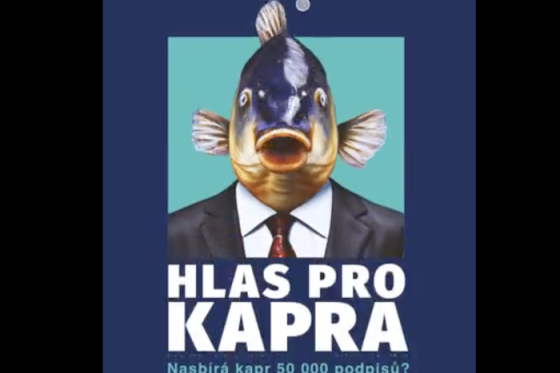 /media/23255/hlasprokapra