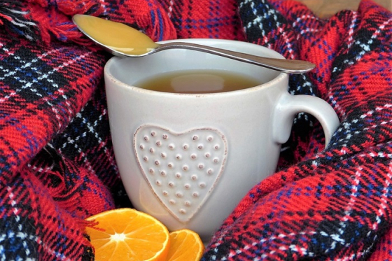 /media/vbfnjfd0/nachlazeni_nemoc_vir_pixabay