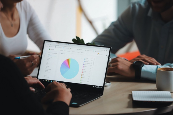 /media/17603/eige_newton-media