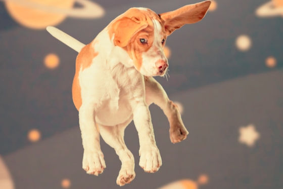 /media/20151/spokojenypes