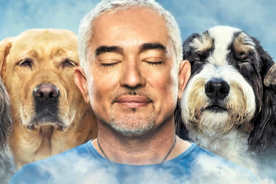 Cesar Millan_Cesar Millan