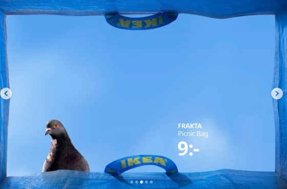 Ikea_bag 3