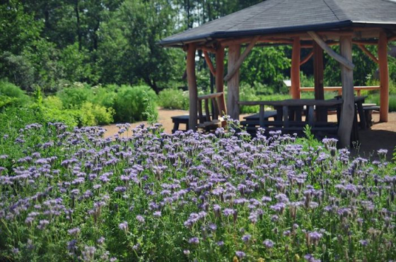 /media/12071/nobilistilia_zahrada_3