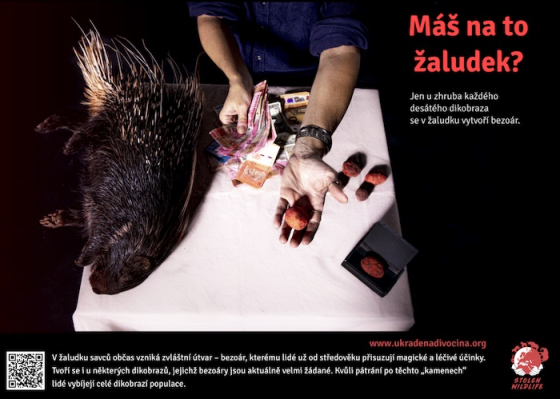 /media/23207/bezoáry-dikobrazů_foto-lucie-čižmářová