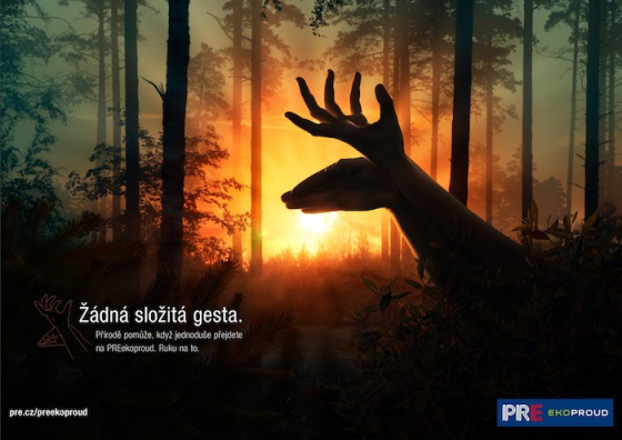 /media/16625/pre_gesta_3