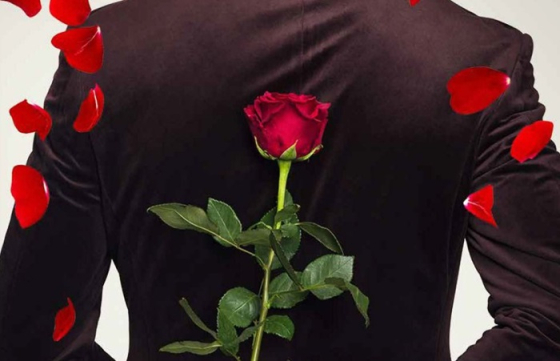 /media/wedieyxx/nova_bachelor