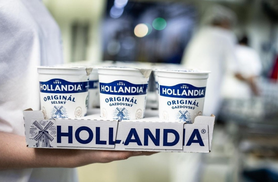Hollandia foto nahledova kvalita (7)