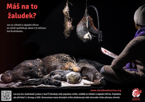 /media/23208/bushmeat_foto-lucie-čižmářová