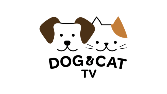Dog_Cat_TV_2025