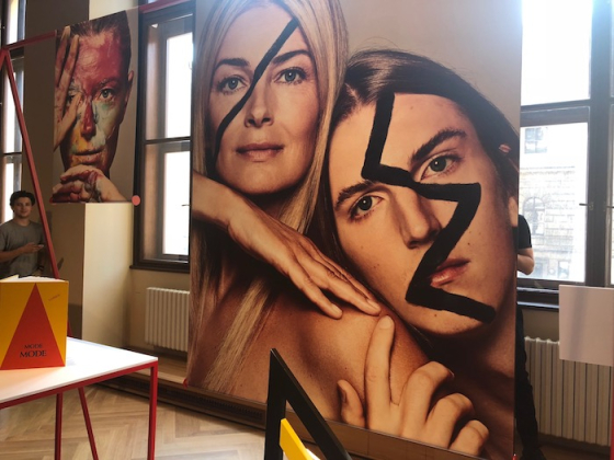 /media/5172/paulinaporizkova