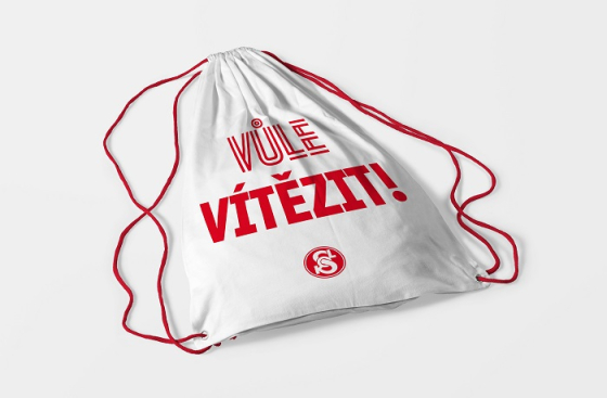 /media/10096/sokol_dynamo_gymvak