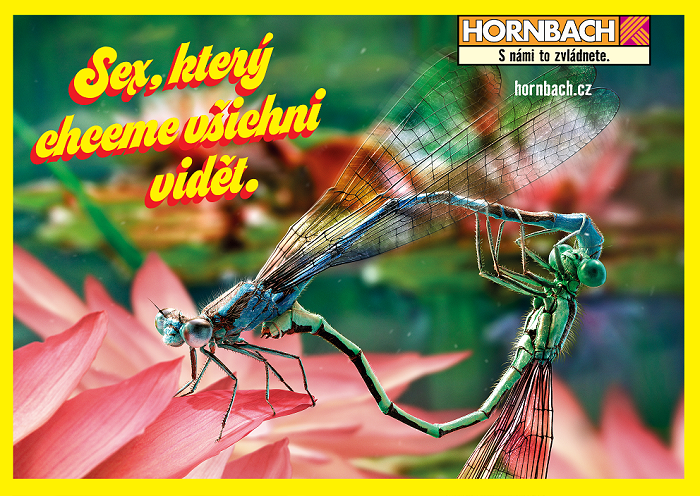 /media/12043/horbach_vazky_cz