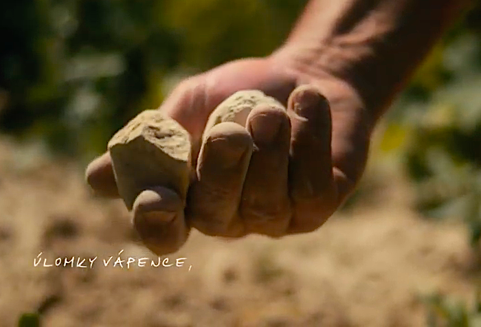 /media/21996/vinazmoravyvinazcech