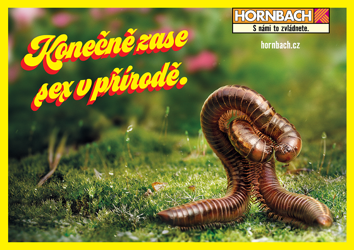 /media/12045/hornbach_stonozka_cz