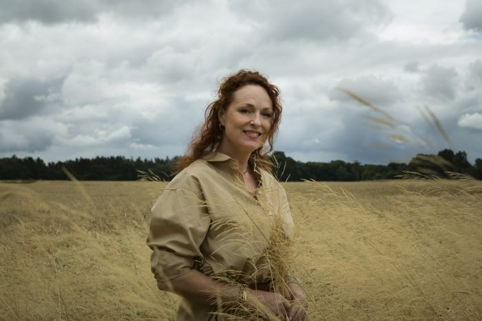 /media/26052/tv-paprika_amc-networks