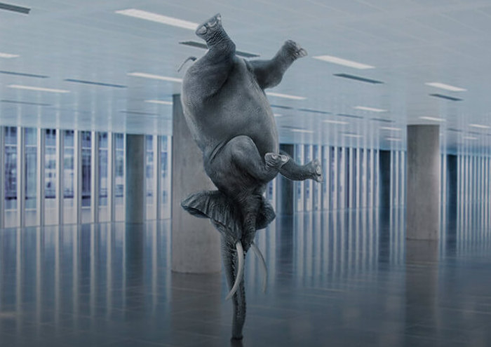 /media/23198/micro-focus-elephant