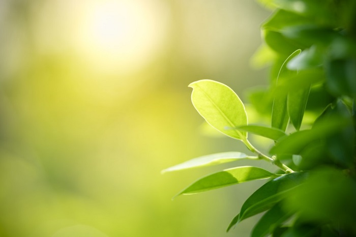 /media/8522/ekologie_shutterstock