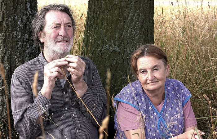 /media/21301/cestadomu