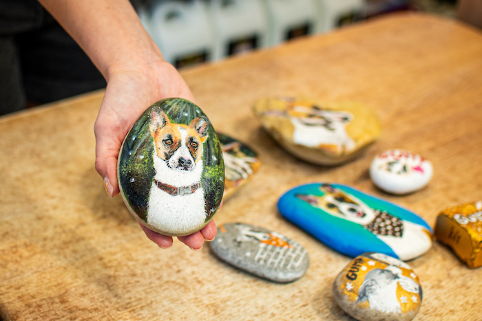 /media/25513/superzoo_gump