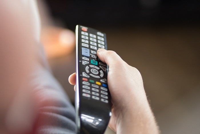 /media/25700/tv-divak-vyber_pixabay