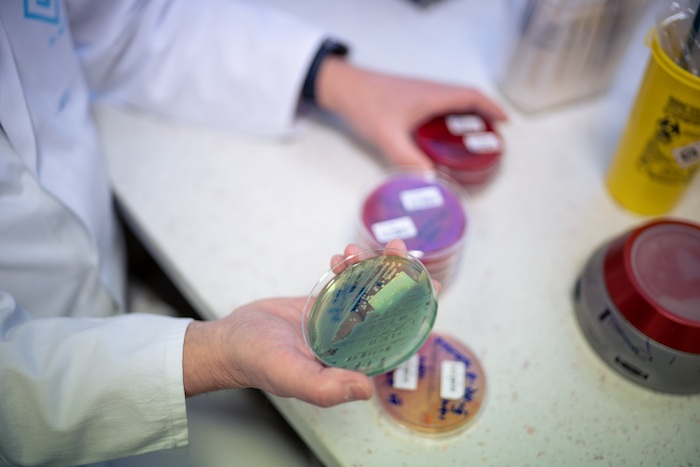 /media/23006/antibiotickarezistence-cz