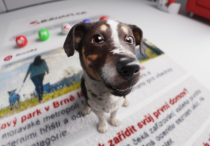 /media/liuf0ewm/seznam_kampan