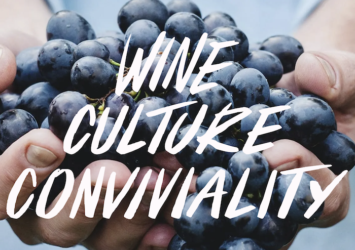 /media/wgobzyg4/vitaevino