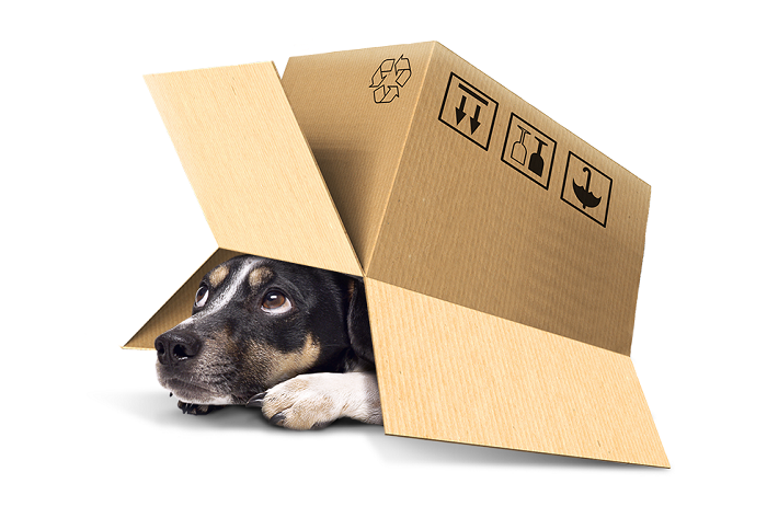 /media/2690/seznam_vyhledavani