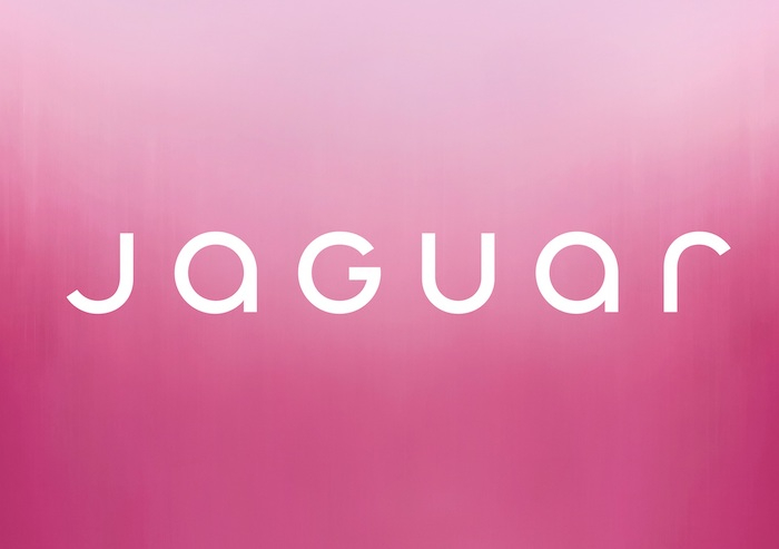 /media/ubsgccge/jaguar_newlogo
