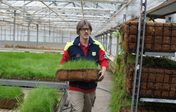 /media/16465/utajeny-s-e-f-2021