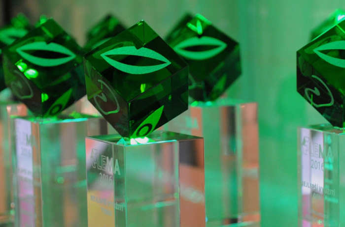 /media/4413/flema-media-awards