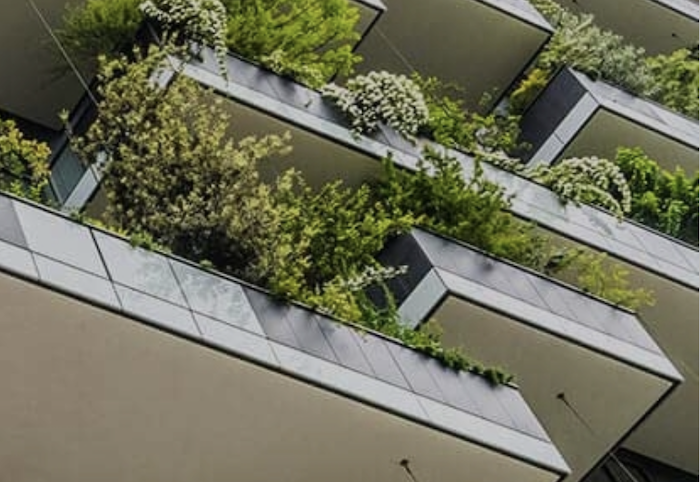 /media/1old1edq/czgbc