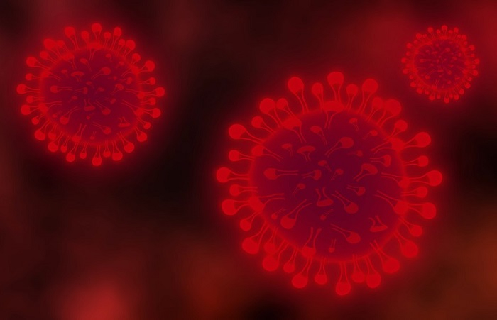 /media/12057/koronavirus