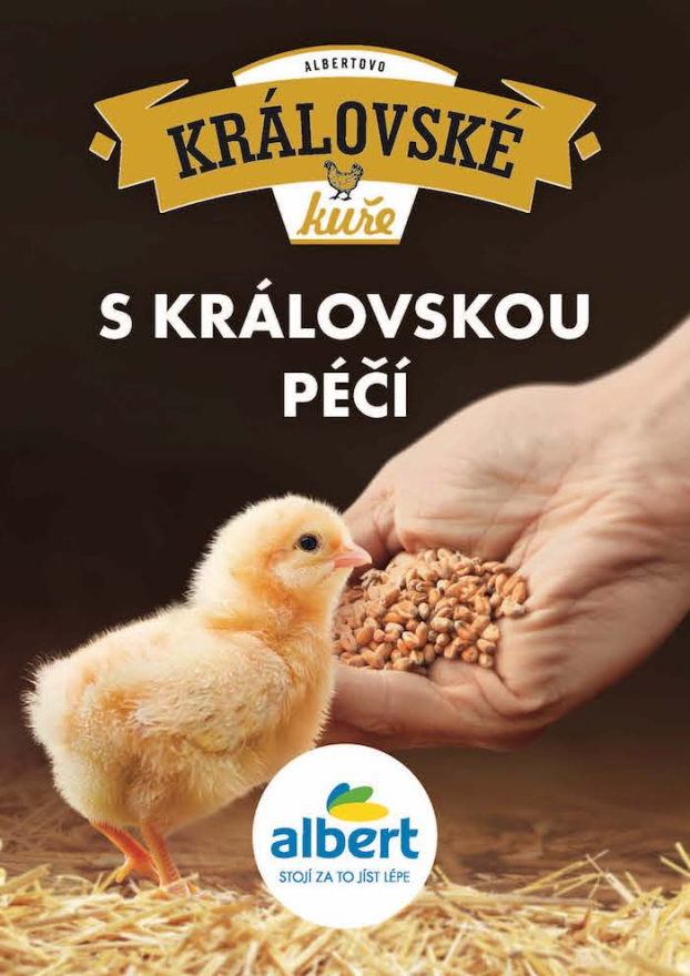 /media/18171/albert_kralovskekure