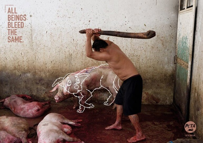 /media/8203/peta_3